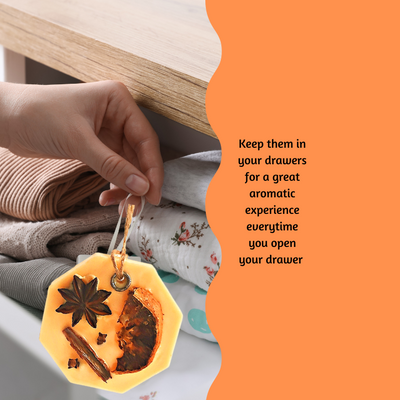 dd8da925-6840-4048-9b49-8d11911f3be9_2008eb06-96d2-4915-af9f-4488d9a04414-4x